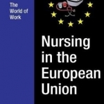 Nursing in the European Union: The World of Work: Volume 2