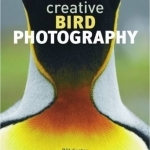 Creative Bird Photography
