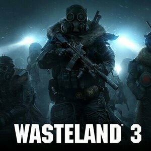 Wasteland 3