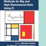 Applied Biclustering Methods for Big and High Dimensional Data Using R