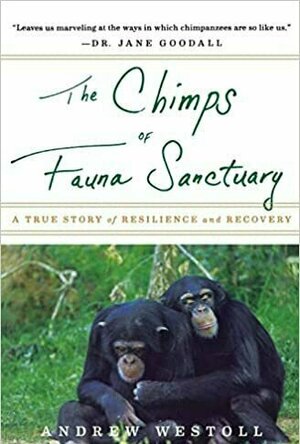 The Chimps of Fauna Sanctuary