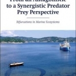 From an Antagonistic to a Synergistic Predator Prey Perspective: Bifurcations in Marine Ecosystem