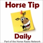 All Daily Tips – Horse Tip Daily