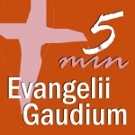 Evangelii Gaudium 5 min