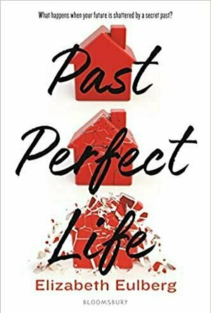 Past Perfect Life