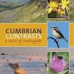 Cumbrian Contrasts: A Vision of Countryside