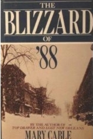 The Blizzard of &#039;88