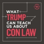 What Trump Can Teach Us About Con Law