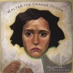 Restless Or Sleeping by Walter The Orange Ocean