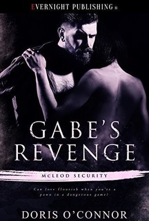 Gabe&#039;s Revenge (McLeod Security #2)