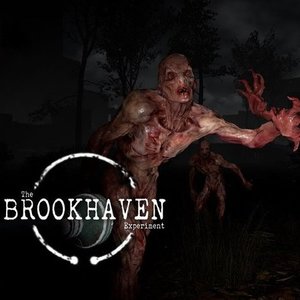 The Brookhaven Experiment