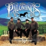 Me Enamore de un Angel by Los Palominos