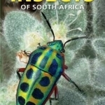 Pocket Guide Insects of South Africa