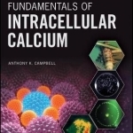 Fundamentals of Intracellular Calcium