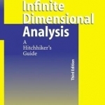 Infinite Dimensional Analysis: A Hitchhiker's Guide
