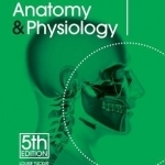 An Introductory Guide to Anatomy &amp; Physiology