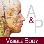 Anatomy &amp; Physiology: Body Structures and Function