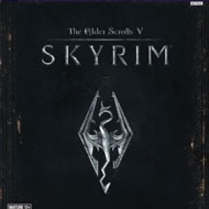 The Elder Scrolls V: Skyrim 