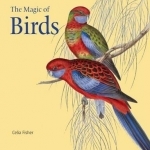 The Magic of Birds