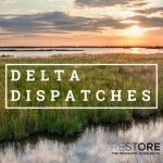 Delta Dispatches