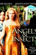 Angels and Insects (1995)