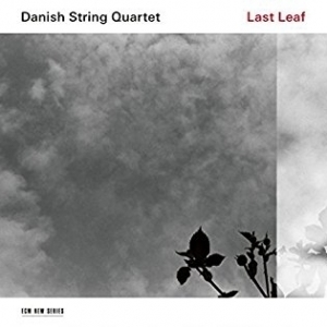 Last Leaf  by The Danish String Quartet 