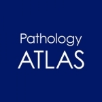 ATLAS OF PATHOLOGY And Comparison With Normal Anatomy