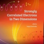 Strongly Correlated Electrons in Two Dimensions