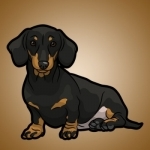 DachsMoji - Dachshund Emoji &amp; Sticker