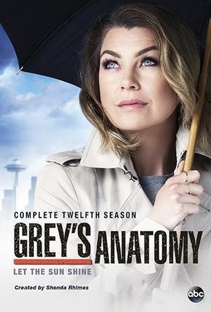 Grey&#039;s Anatomy  - Season 12