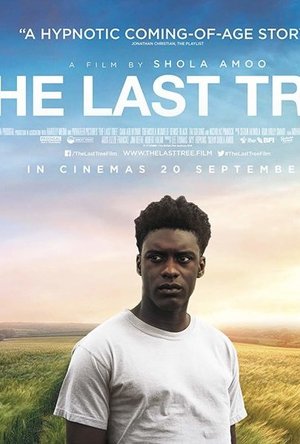 The Last Tree (2019)