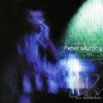 Alive Just for Love by Peter Murphy