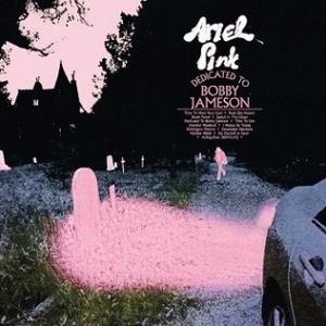 Dedicated to Bobby Jameson by Ariel Pink