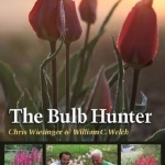 The Bulb Hunter