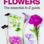 Buying &amp; Arranging Cut Flowers - The Essential A-Z Guide