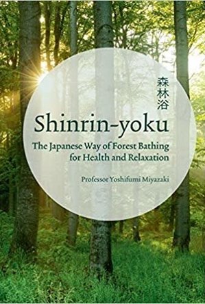 Shinrin Yoku: The Art of Japanese Forest Bathing