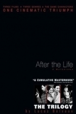 After the Life: Trilogy 3 (2002)