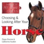 Choosing & Looking After Your Horse
