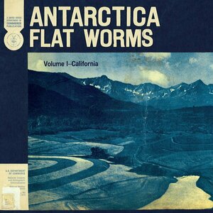 Antarctica by Flat Worms