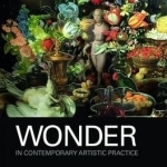 Wonder in Contemporary Artistic Practice