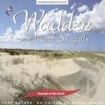 Sands &amp; Seagulls Soundtrack by Sounds of the Earth: Wadden