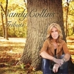 Tribute by Sandy Collins