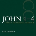 John 1-4 (ICC): A Critical and Exegetical Commentary