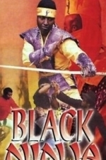 The Black Ninja (2002)