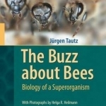 The Buzz About Bees