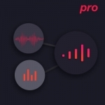 Audio Mixer Pro - Audio Recorder &amp; Create Voice