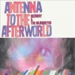 Antenna to the Afterworld by Sonny &amp; The Sunsets