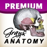 Gray&#039;s Anatomy Premium for iPad