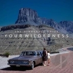 Your Wilderness by The Pineapple Thief