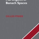 Martingales in Banach Spaces